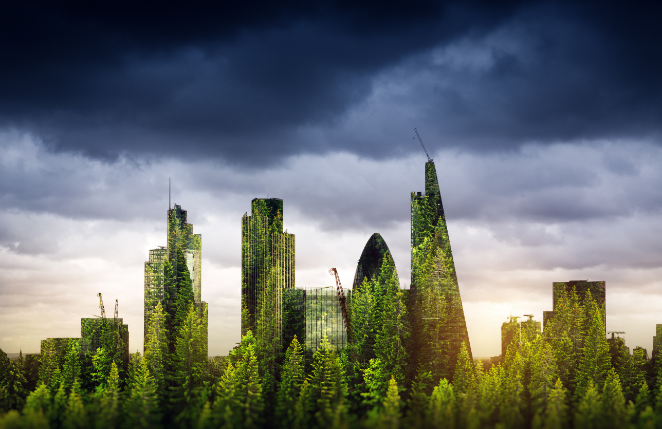 Perspectives Paper A Framework To Assess Esg Value Creation