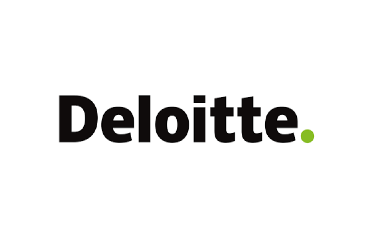 Professional Insight Integrating IVS within Deloitte’s global approach
