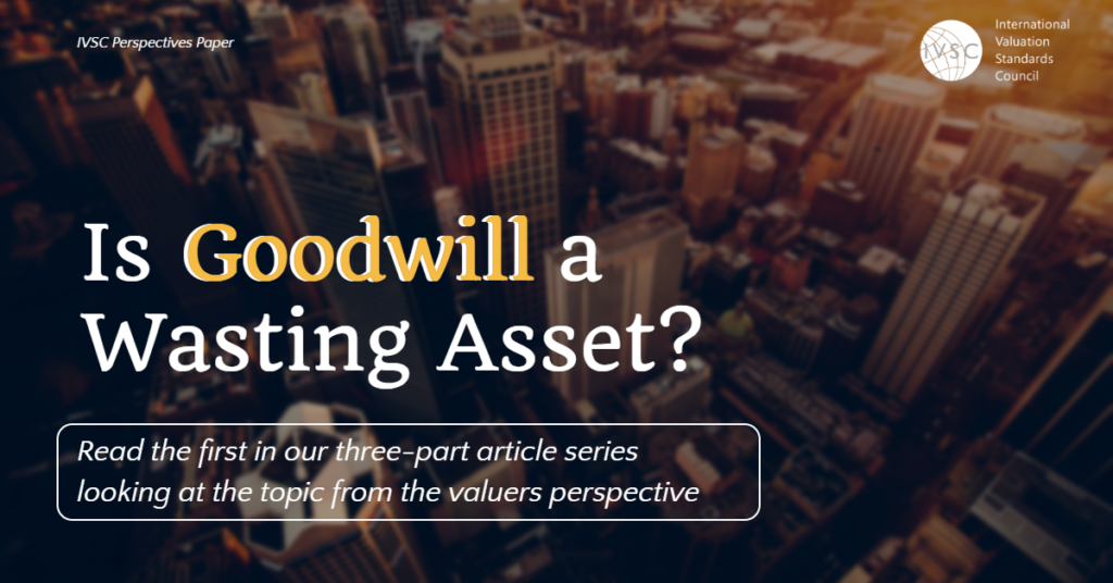 Perspectives Paper Is Goodwill a Wasting Asset? International